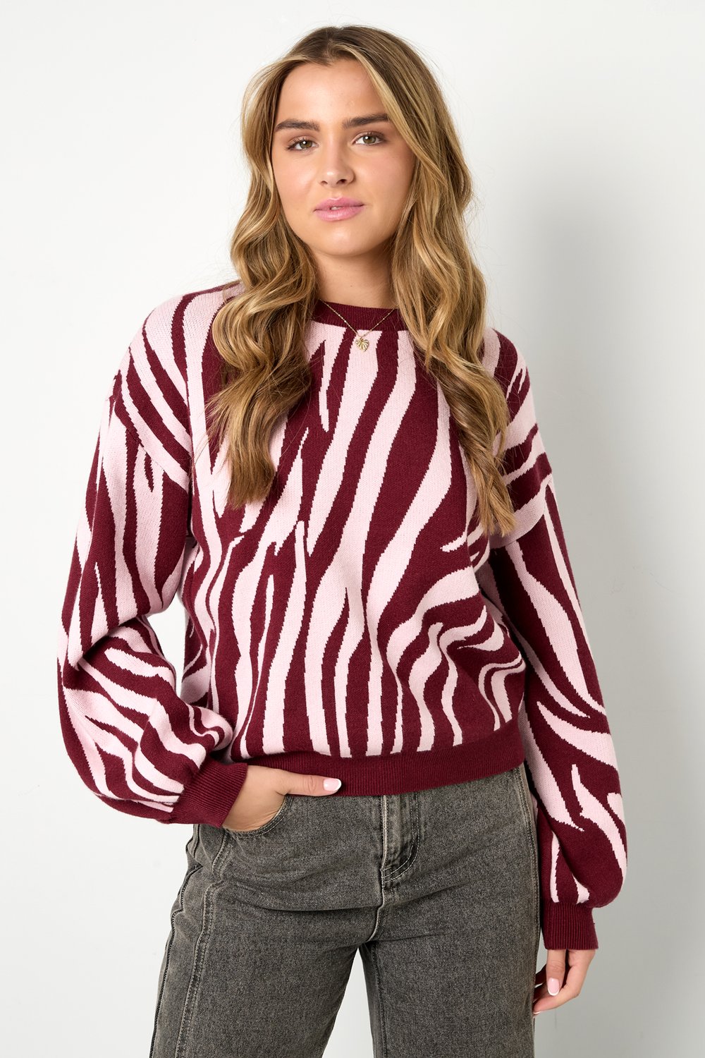 Knitted sweaters Zebra stripes Casual autumn/winter clothing h5Picture7
